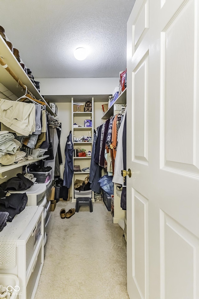 walk in closet featuring light colored carpet