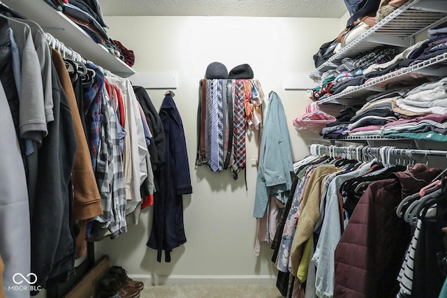 spacious closet featuring carpet