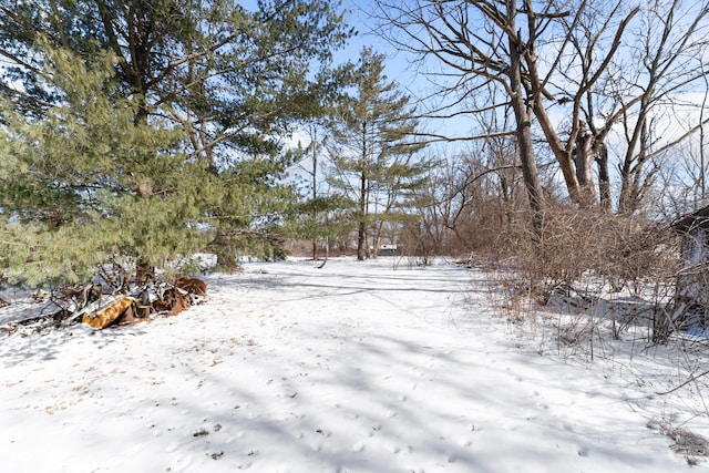 view of yard layered in snow