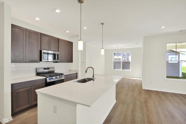 19714 Highclere Ln, Sheridan, IN 46069 - kitchen with light wood-type flooring, a sink, appliances with stainless steel finishes, and a wealth of natural light
