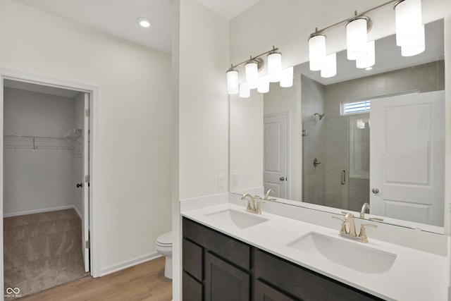 19714 Highclere Ln, Sheridan, IN 46069 - bathroom featuring a sink, a spacious closet, toilet, and a shower stall