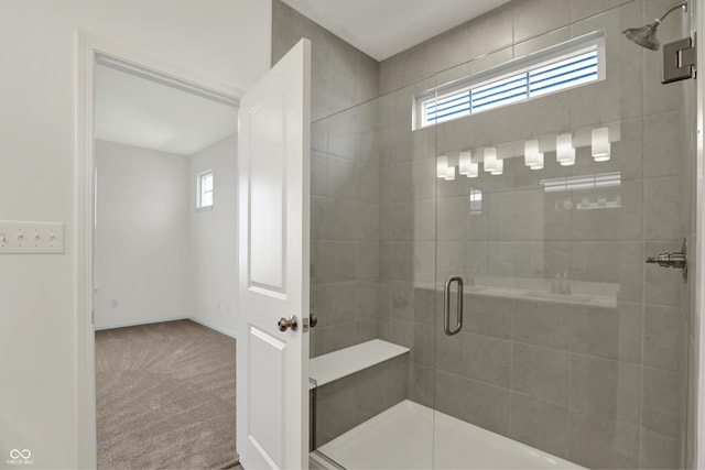 19714 Highclere Ln, Sheridan, IN 46069 - bathroom with baseboards, plenty of natural light, and a shower stall