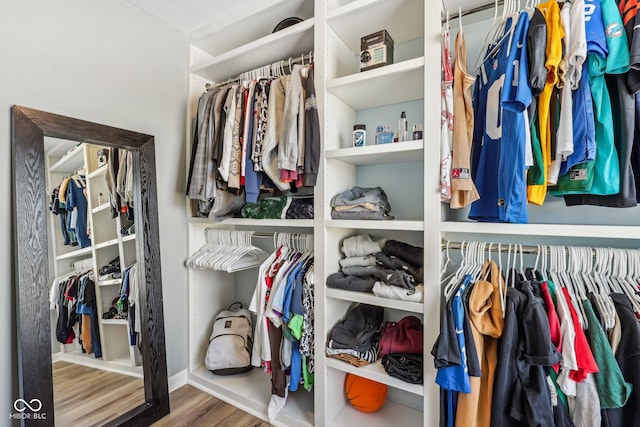 walk in closet with wood finished floors