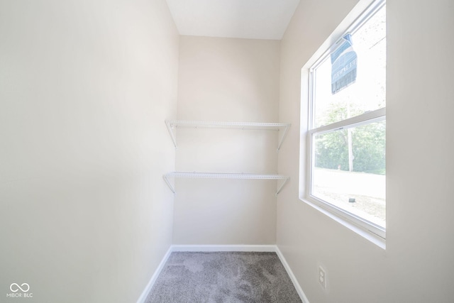 spacious closet with carpet floors