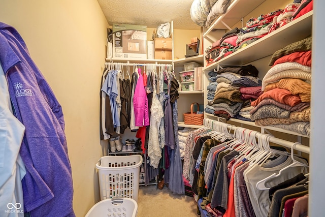 spacious closet featuring carpet flooring