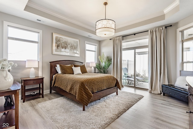 bedroom featuring access to exterior, multiple windows, and a tray ceiling