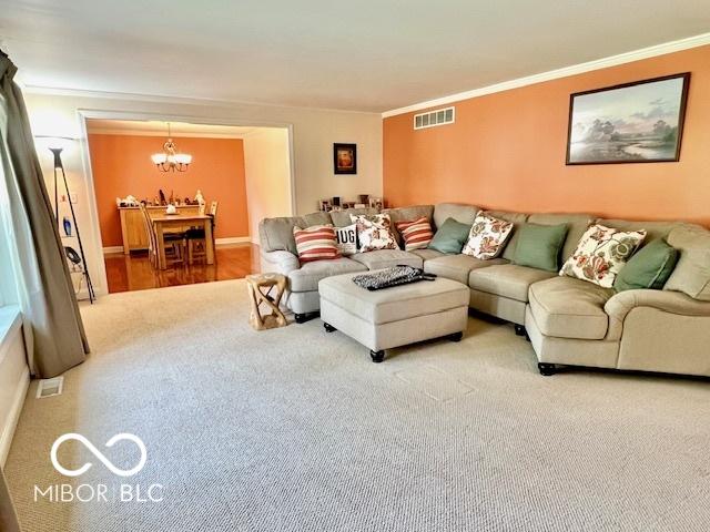 carpeted living room featuring ornamental molding, a chandelier, and visible vents