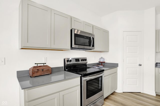 kitchen featuring stainless steel appliances and light wood finished floors