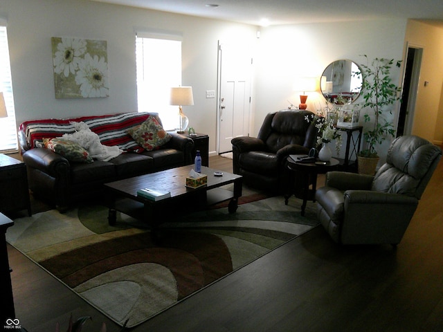 living area with plenty of natural light and wood finished floors