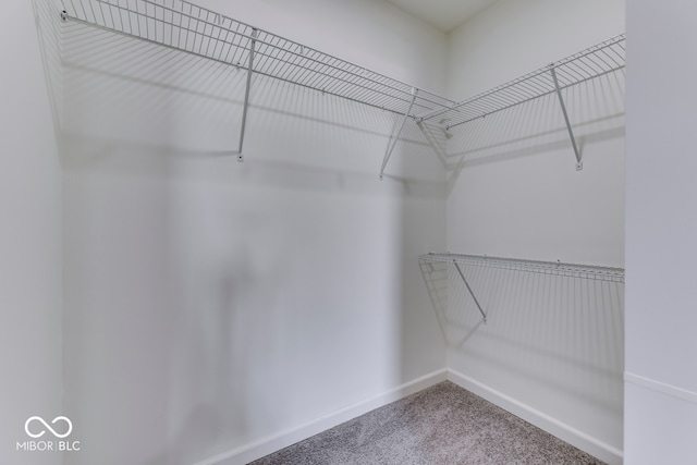 spacious closet with carpet flooring