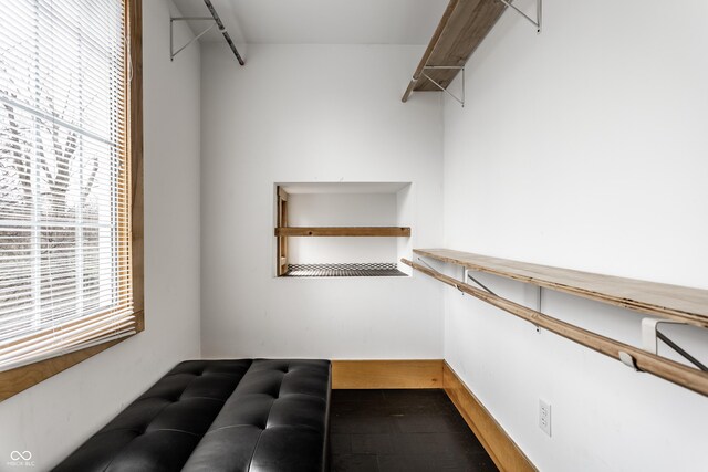 walk in closet featuring wood finished floors