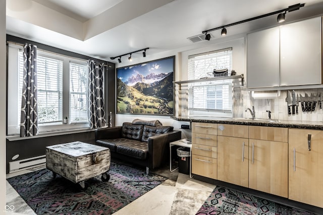 interior space featuring baseboard heating and track lighting