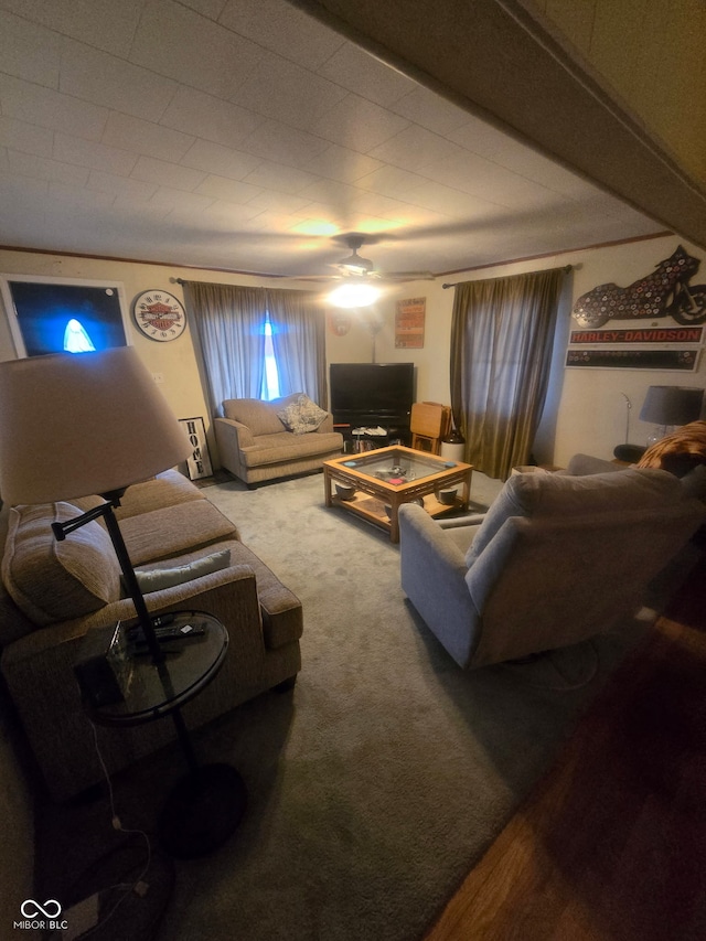 view of carpeted living area