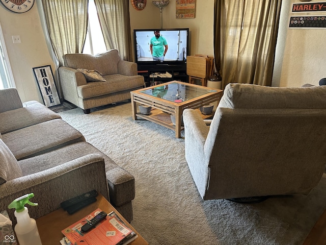 245 W Dixie Bee Rd, Veedersburg, IN 47987 - living area featuring healthy amount of natural light