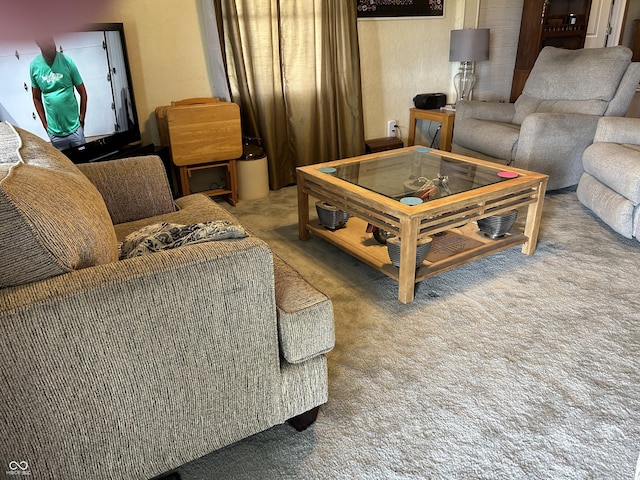 245 W Dixie Bee Rd, Veedersburg, IN 47987 - view of carpeted living area