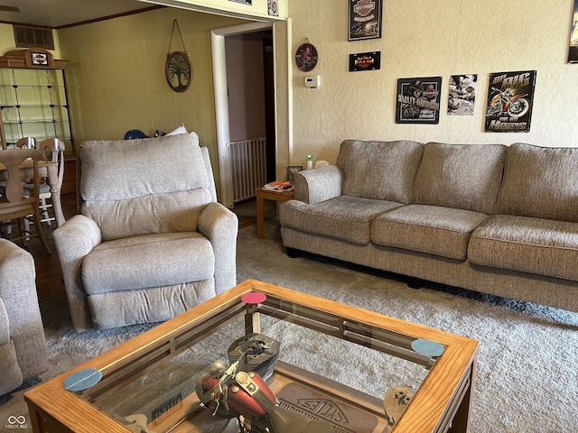 245 W Dixie Bee Rd, Veedersburg, IN 47987 - carpeted living room with a textured wall