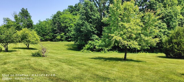 1017 W Main St, Westport, IN 47283 - photo 31