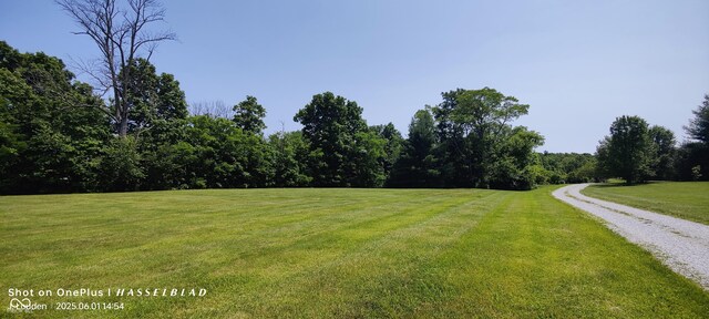 1017 W Main St, Westport, IN 47283 - photo 8