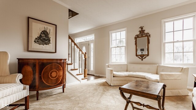 living area featuring carpet floors, baseboards, stairway, and crown molding