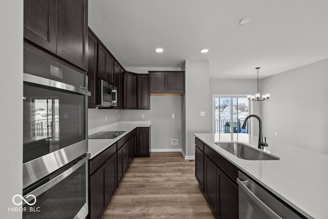 kitchen with dark brown cabinetry, light wood finished floors, appliances with stainless steel finishes, light countertops, and a sink