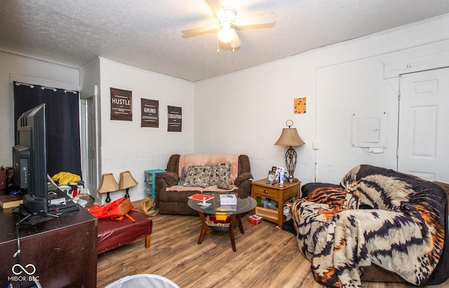 living area featuring a ceiling fan, a textured ceiling, and wood finished floors