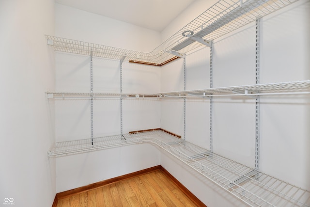 spacious closet featuring light wood-style flooring