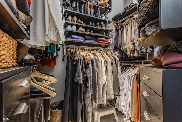 view of walk in closet