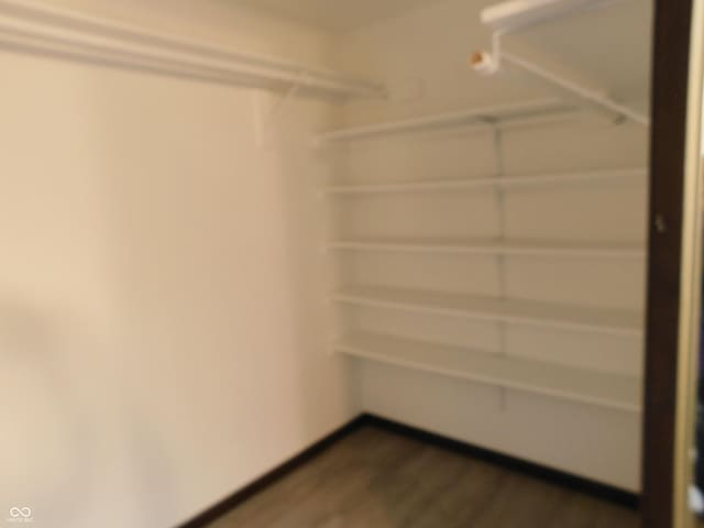 spacious closet featuring dark wood-type flooring