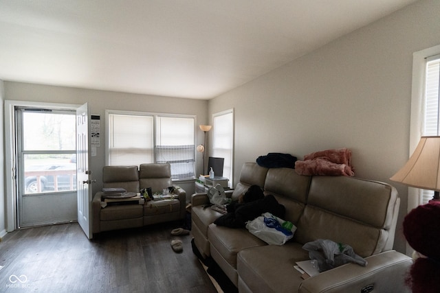 living area with wood finished floors