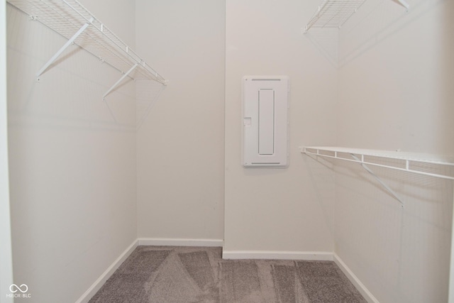 spacious closet featuring carpet