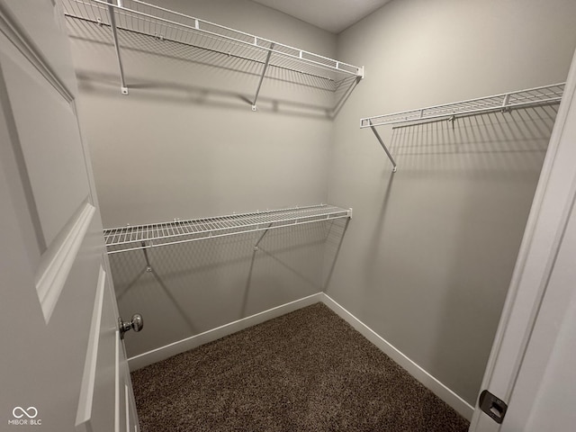 walk in closet featuring dark carpet