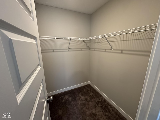 walk in closet with dark colored carpet