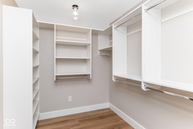 walk in closet with wood finished floors