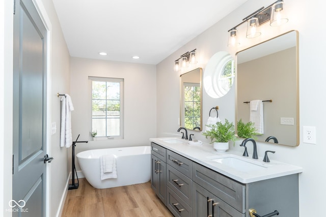 bathroom featuring double vanity, a freestanding tub, a sink, and wood finished floors