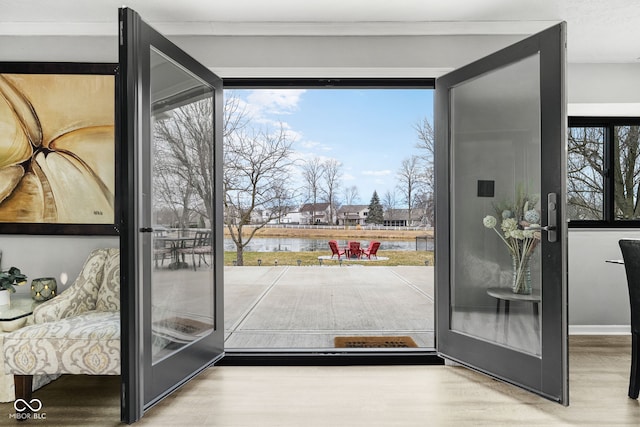 doorway with a wealth of natural light and wood finished floors