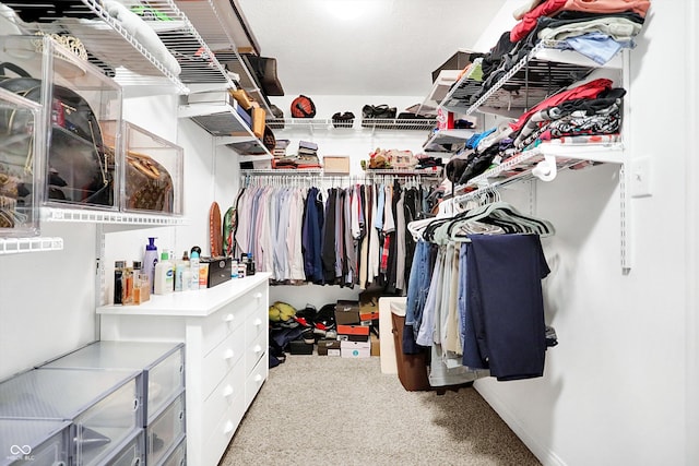 spacious closet with carpet