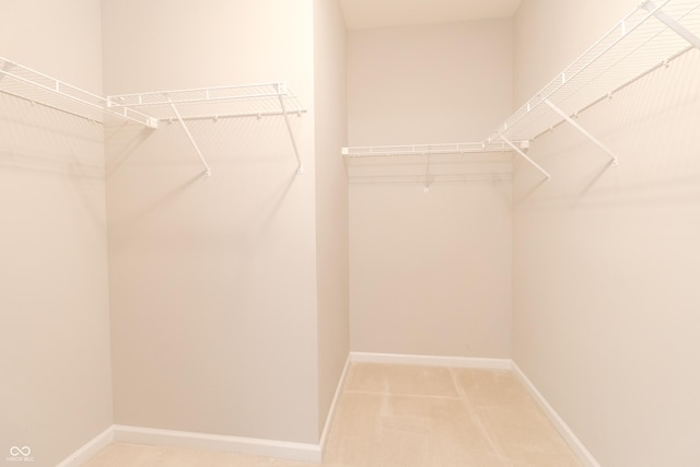 6117 Arctic Cir, Indianapolis, IN 46237 - walk in closet with carpet floors
