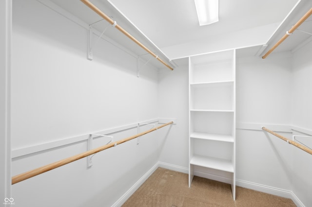 spacious closet featuring carpet floors