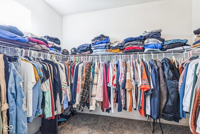 walk in closet with carpet floors