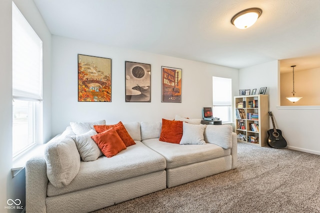 living room featuring carpet floors