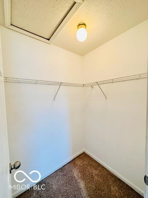 walk in closet with carpet and attic access