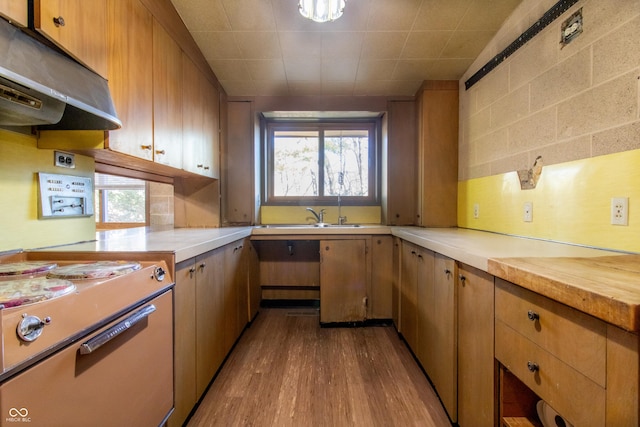 kitchen featuring decorative backsplash, electric stove, wood finished floors, under cabinet range hood, and a sink