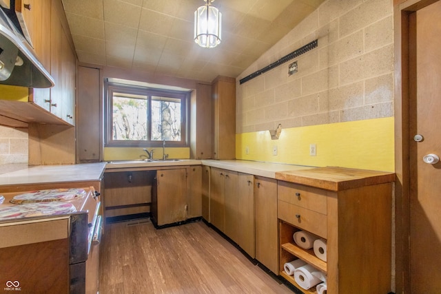 kitchen with lofted ceiling, a sink, open shelves, light wood finished floors, and tasteful backsplash