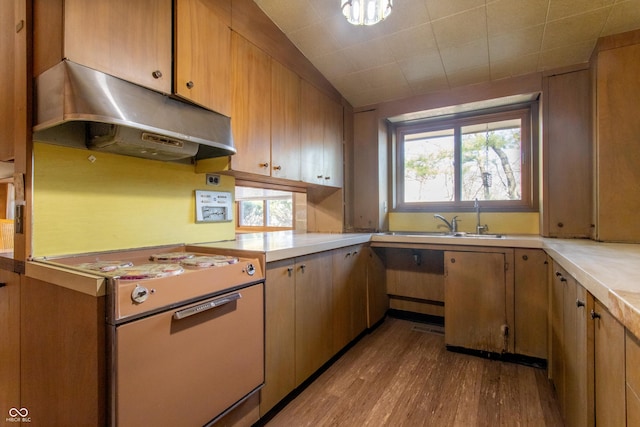 kitchen featuring light countertops, vaulted ceiling, wood finished floors, range, and under cabinet range hood