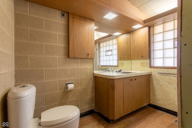 bathroom featuring toilet, wood finished floors, and vanity