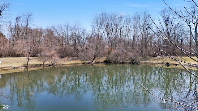 water view