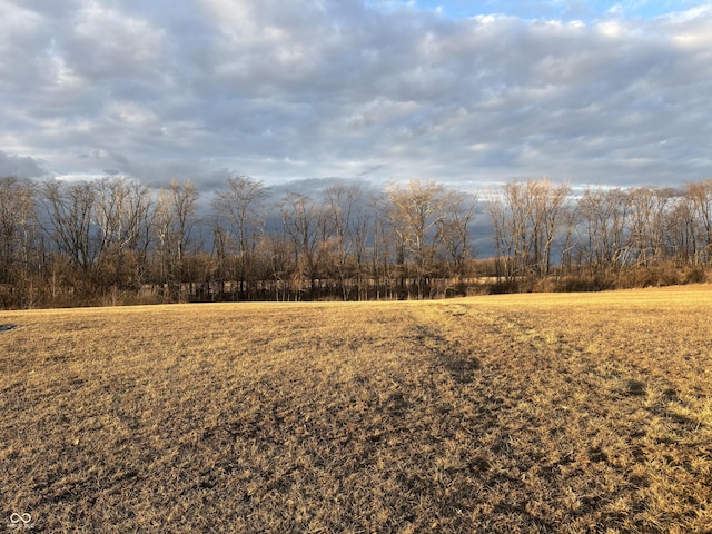 view of local wilderness featuring a rural view