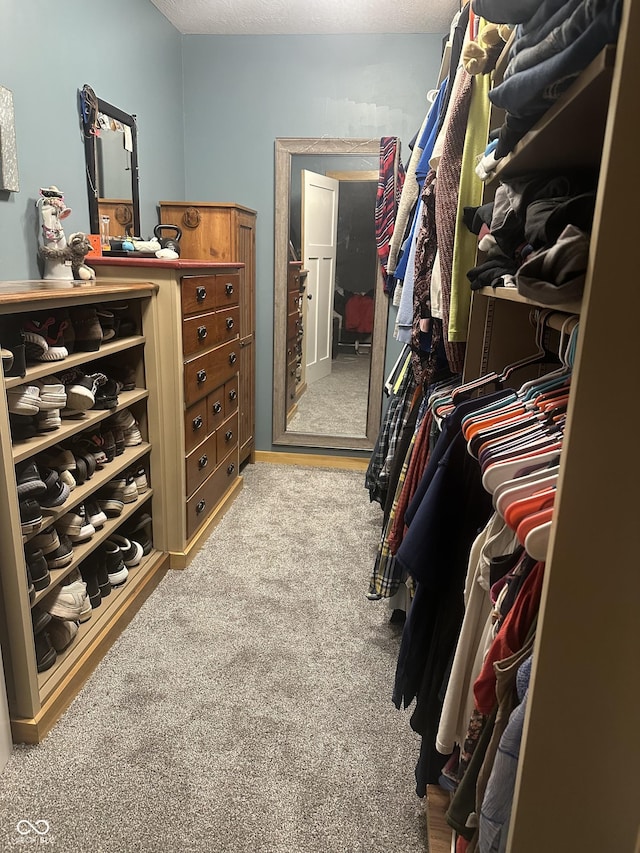 spacious closet featuring carpet flooring