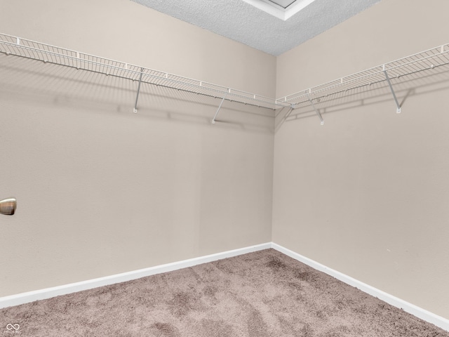 spacious closet with carpet flooring