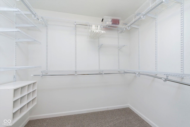 spacious closet with carpet